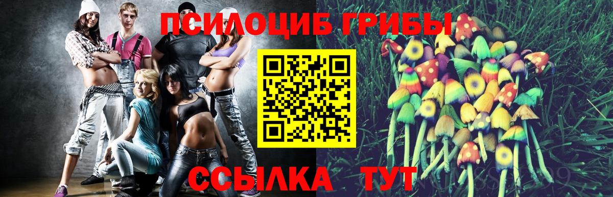 Псилоцибиновые грибы Psilocybe  Вход с VPN  Галлюциногенные грибы Cubensis  Вышний Волочёк 